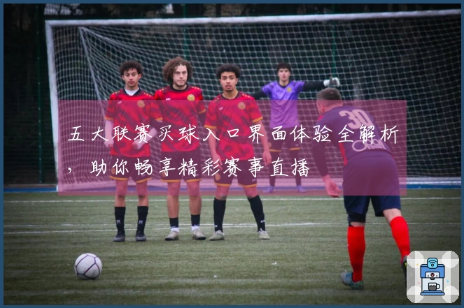 五大联赛买球入口界面体验全解析，助你畅享精彩赛事直播