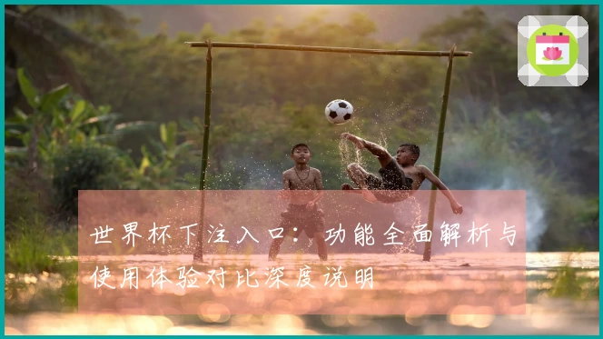 世界杯下注入口：功能全面解析与使用体验对比深度说明