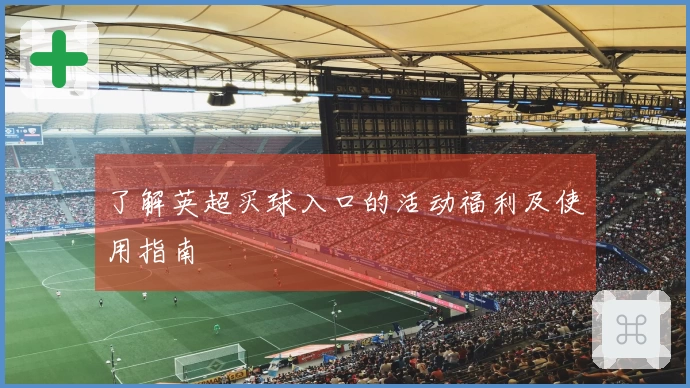 了解英超买球入口的活动福利及使用指南